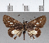  ( - CFCD00605)  @11 [ ] Copyright (2018) Christer Fahraeus Center For Collection-Based Research