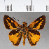  ( - CFCD00641)  @13 [ ] Copyright (2018) Christer Fahraeus Center For Collection-Based Research