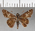  ( - CFCD00650)  @11 [ ] Copyright (2018) Christer Fahraeus Center For Collection-Based Research