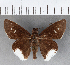  ( - CFCD00655)  @11 [ ] Copyright (2018) Christer Fahraeus Center For Collection-Based Research