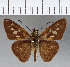  ( - CFCD00681)  @11 [ ] Copyright (2018) Christer Fahraeus Center For Collection-Based Research
