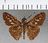  ( - CFCD00682)  @11 [ ] Copyright (2018) Christer Fahraeus Center For Collection-Based Research