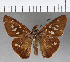  ( - CFCD00688)  @11 [ ] Copyright (2018) Christer Fahraeus Center For Collection-Based Research