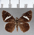  ( - CFCD00757)  @11 [ ] Copyright (2018) Christer Fahraeus Center For Collection-Based Research