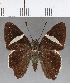  ( - CFCD00760)  @11 [ ] Copyright (2018) Christer Fahraeus Center For Collection-Based Research
