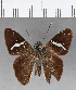  ( - CFCD00763)  @11 [ ] Copyright (2018) Christer Fahraeus Center For Collection-Based Research