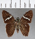  ( - CFCD00765)  @11 [ ] Copyright (2018) Christer Fahraeus Center For Collection-Based Research