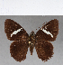  ( - CFCD00766)  @13 [ ] Copyright (2018) Christer Fahraeus Center For Collection-Based Research