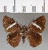  ( - CFCD00768)  @13 [ ] Copyright (2018) Christer Fahraeus Center For Collection-Based Research