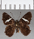  ( - CFCD00771)  @13 [ ] Copyright (2018) Christer Fahraeus Center For Collection-Based Research