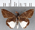  ( - CFCD00823)  @11 [ ] Copyright (2018) Christer Fahraeus Center For Collection-Based Research