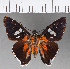  ( - CFCD00917)  @11 [ ] Copyright (2018) Christer Fahraeus Center For Collection-Based Research