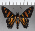  ( - CFCD00929)  @11 [ ] Copyright (2018) Christer Fahraeus Center For Collection-Based Research