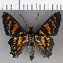  ( - CFCD00930)  @11 [ ] Copyright (2018) Christer Fahraeus Center For Collection-Based Research