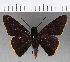  ( - CFCD00935)  @11 [ ] Copyright (2018) Christer Fahraeus Center For Collection-Based Research