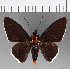  ( - CFCD00940)  @11 [ ] Copyright (2018) Christer Fahraeus Center For Collection-Based Research