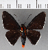  ( - CFCD00942)  @11 [ ] Copyright (2018) Christer Fahraeus Center For Collection-Based Research