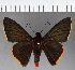  ( - CFCD00944)  @11 [ ] Copyright (2018) Christer Fahraeus Center For Collection-Based Research