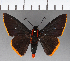  ( - CFCD00948)  @11 [ ] Copyright (2018) Christer Fahraeus Center For Collection-Based Research