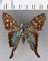  ( - CFCD00982)  @11 [ ] Copyright (2018) Christer Fahraeus Center For Collection-Based Research