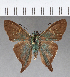  ( - CFCD00987)  @11 [ ] Copyright (2018) Christer Fahraeus Center For Collection-Based Research