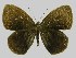  ( - RCPBXPL1E05)  @11 [ ] by-nc-sa (2022) C. FAYNEL MNHN, Paris