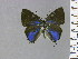  ( - RCCFXPL1H02)  @11 [ ] by-nc-sa (2022) C. FAYNEL MNHN, Paris