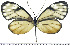  ( - JFDA0475)  @11 [ ] by-nc-sa (2024) Jean F. Le Crom Jean F. Le Crom