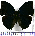  ( - JFDA0587)  @11 [ ] by-nc-sa (2024) Jean F. Le Crom Jean F. Le Crom