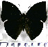  ( - JFDA0598)  @11 [ ] by-nc-sa (2024) Jean F. Le Crom Jean F. Le Crom