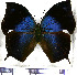  ( - JFDA0621)  @11 [ ] by-nc-sa (2024) Jean F. Le Crom Jean F. Le Crom