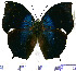  ( - JFDA0626)  @11 [ ] by-nc-sa (2024) Jean F. Le Crom Jean F. Le Crom