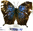  ( - JFDA0627)  @11 [ ] by-nc-sa (2024) Jean F. Le Crom Jean F. Le Crom