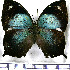  ( - JFDA0633)  @11 [ ] by-nc-sa (2024) Jean F. Le Crom Jean F. Le Crom