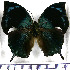  ( - JFDA0634)  @11 [ ] by-nc-sa (2024) Jean F. Le Crom Jean F. Le Crom