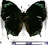  ( - JFDA0635)  @11 [ ] by-nc-sa (2024) Jean F. Le Crom Jean F. Le Crom