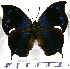  ( - JFDA0636)  @11 [ ] by-nc-sa (2024) Jean F. Le Crom Jean F. Le Crom