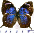  ( - JFDA0639)  @11 [ ] by-nc-sa (2024) Jean F. Le Crom Jean F. Le Crom