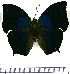  ( - JFDA0642)  @11 [ ] by-nc-sa (2024) Jean F. Le Crom Jean F. Le Crom