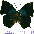  ( - JFDA0644)  @11 [ ] by-nc-sa (2024) Jean F. Le Crom Jean F. Le Crom