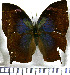  ( - JFDA0658)  @11 [ ] by-nc-sa (2024) Jean F. Le Crom Jean F. Le Crom