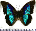  ( - JFDA0673)  @11 [ ] by-nc-sa (2024) Jean F. Le Crom Jean F. Le Crom