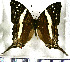  ( - JFDA0708)  @11 [ ] by-nc-sa (2024) Jean F. Le Crom Jean F. Le Crom