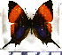  ( - JFDA0712)  @11 [ ] by-nc-sa (2024) Jean F. Le Crom Jean F. Le Crom