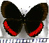  ( - JFDA0715)  @11 [ ] by-nc-sa (2024) Jean F. Le Crom Jean F. Le Crom