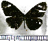  ( - JFDA0719)  @11 [ ] by-nc-sa (2024) Jean F. Le Crom Jean F. Le Crom