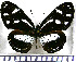  ( - JFDA0720)  @11 [ ] by-nc-sa (2024) Jean F. Le Crom Jean F. Le Crom