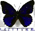  ( - JFDA0772)  @11 [ ] by-nc-sa (2024) Jean F. Le Crom Jean F. Le Crom