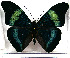  ( - JFDA0799)  @11 [ ] by-nc-sa (2024) Jean F. Le Crom Jean F. Le Crom
