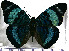  ( - JFDA0803)  @11 [ ] by-nc-sa (2024) Jean F. Le Crom Jean F. Le Crom